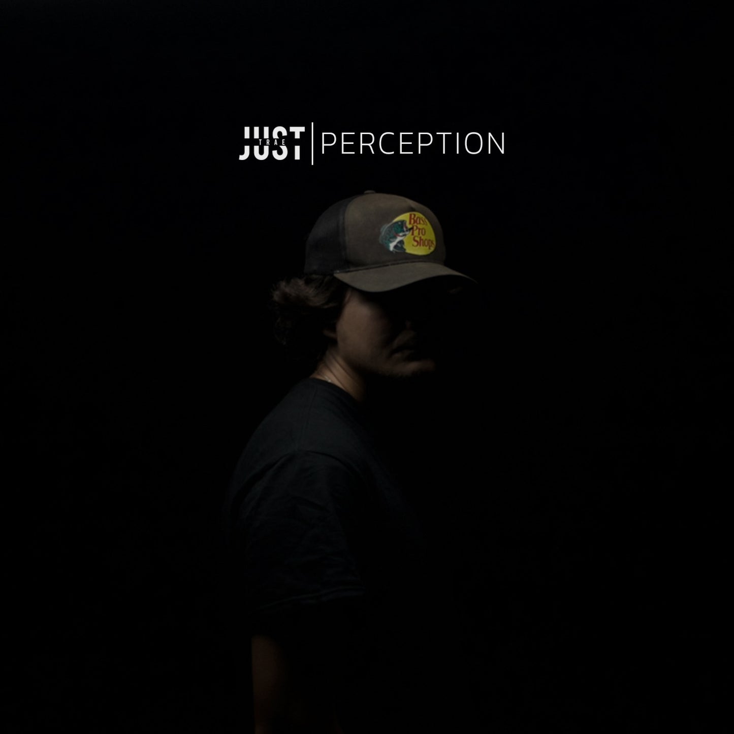 PERCEPTION CD